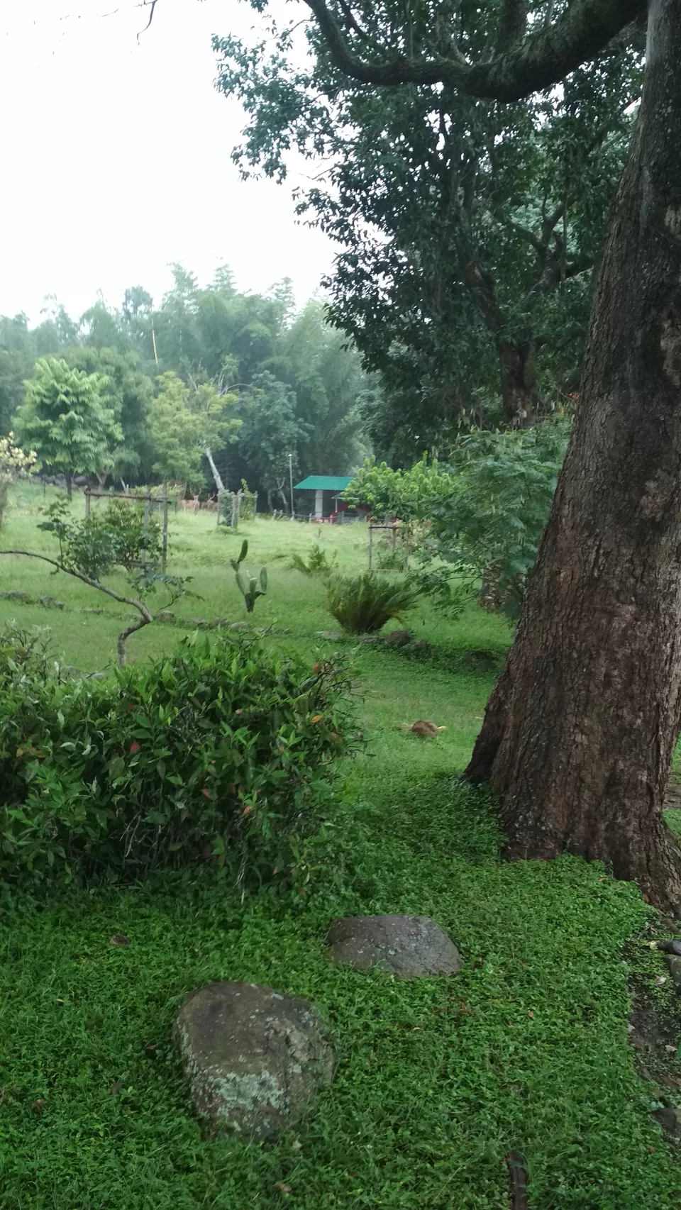 Photo of Tea Nest, Alwarpet, Coonoor, Tamil Nadu, India by Ashish Jain