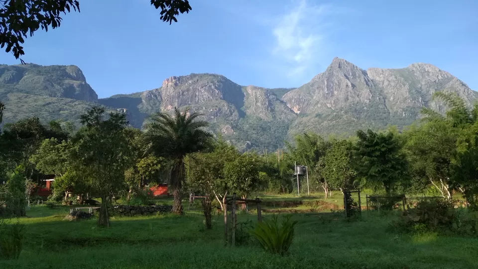Photo of Tea Nest, Alwarpet, Coonoor, Tamil Nadu, India by Ashish Jain