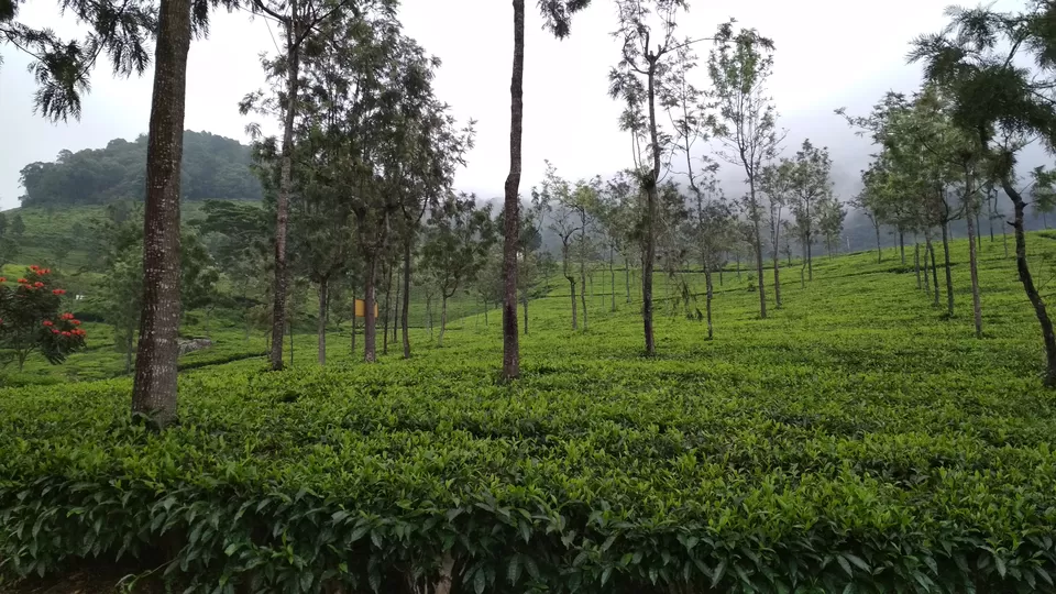Photo of Coonoor, Tamil Nadu, India by Ashish Jain
