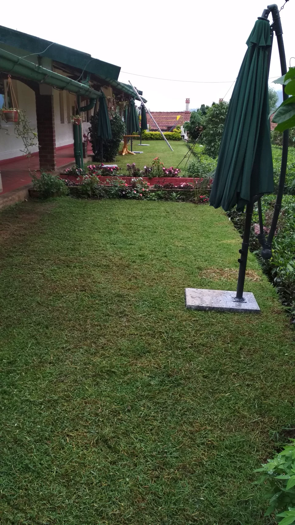 Photo of Tea Nest, Alwarpet, Coonoor, Tamil Nadu, India by Ashish Jain