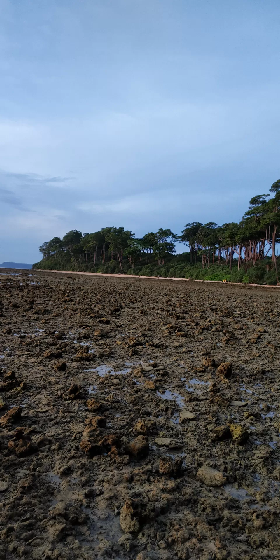 Photo of Neil Island, Andaman and Nicobar Islands by Ashish Jain