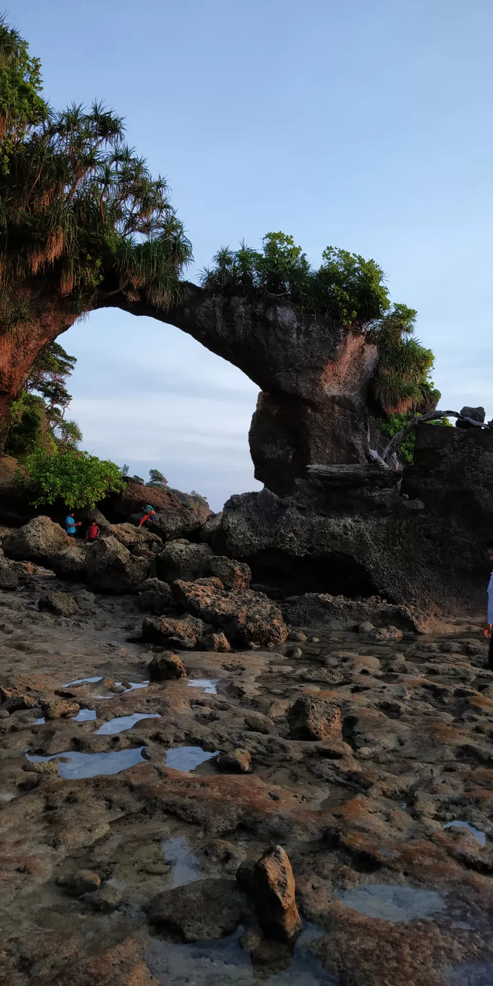 Photo of Neil Island, Andaman and Nicobar Islands by Ashish Jain
