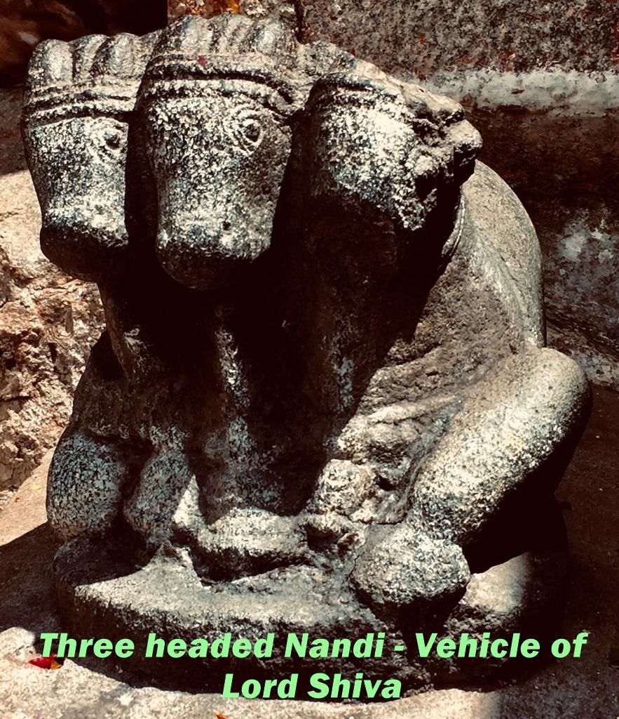 Photo of HAMPi - A Forgotten civilization 13/26 by Ashish Jain