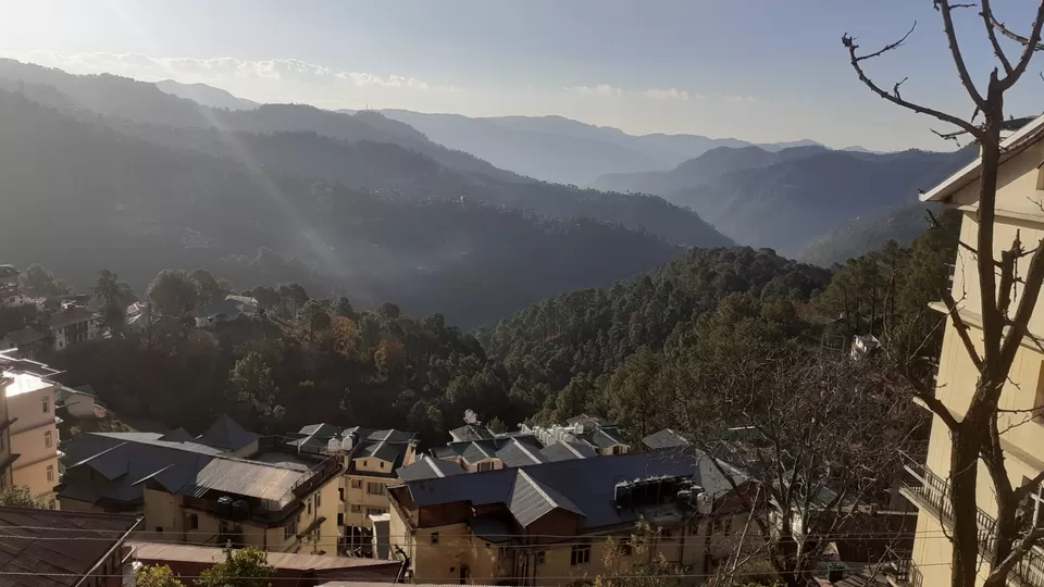 Photo of Exploring the Majestic Hills of Shimla with Family by Amit Pandey