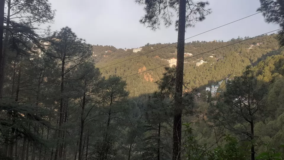 Photo of Exploring the Majestic Hills of Shimla with Family by Amit Pandey