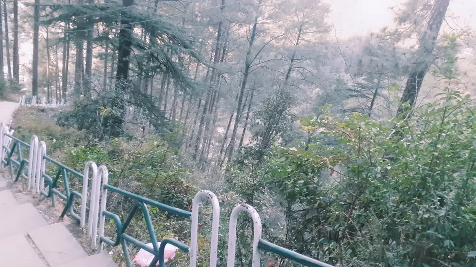 Photo of Exploring the Majestic Hills of Shimla with Family by Amit Pandey