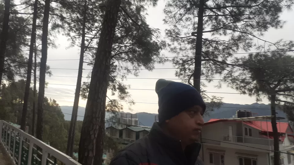 Photo of Exploring the Majestic Hills of Shimla with Family by Amit Pandey