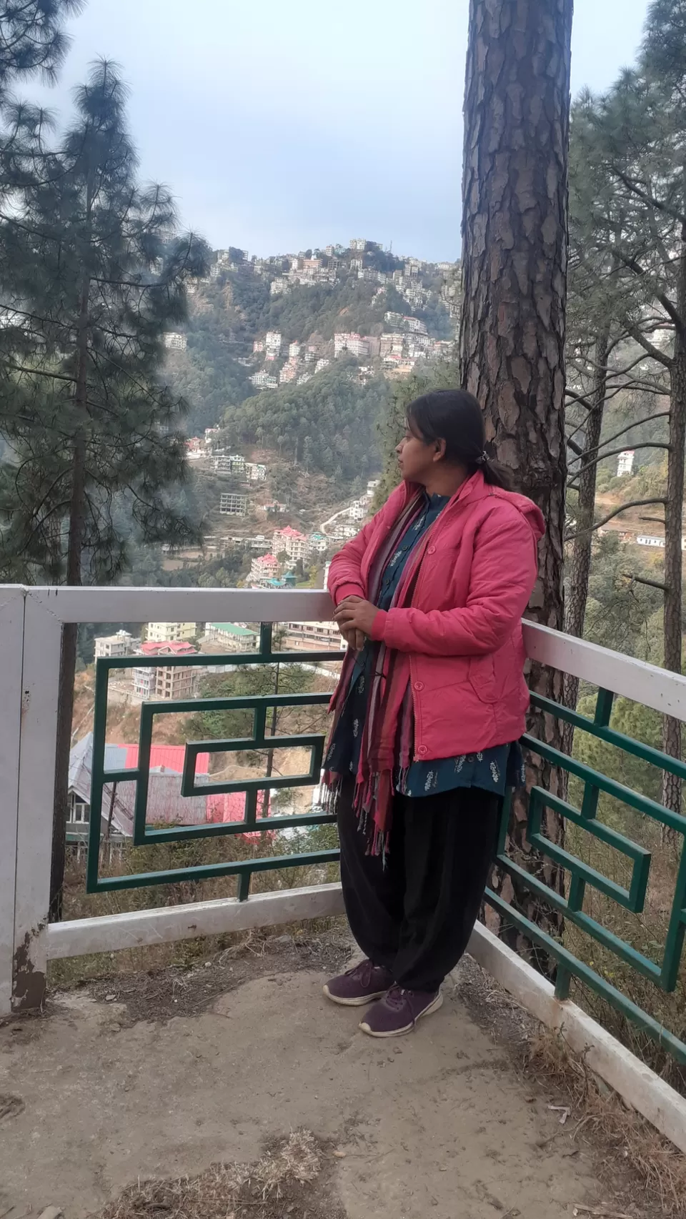 Photo of Exploring the Majestic Hills of Shimla with Family by Amit Pandey
