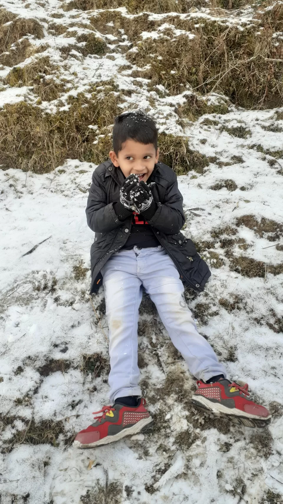 Photo of Exploring the Majestic Hills of Shimla with Family by Amit Pandey