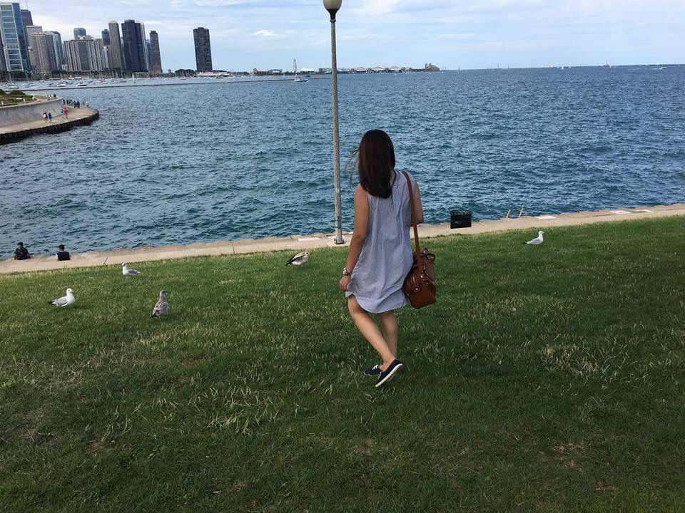 Photo of Downtown Chicago, IL, USA by Dr. Uttara Koul
