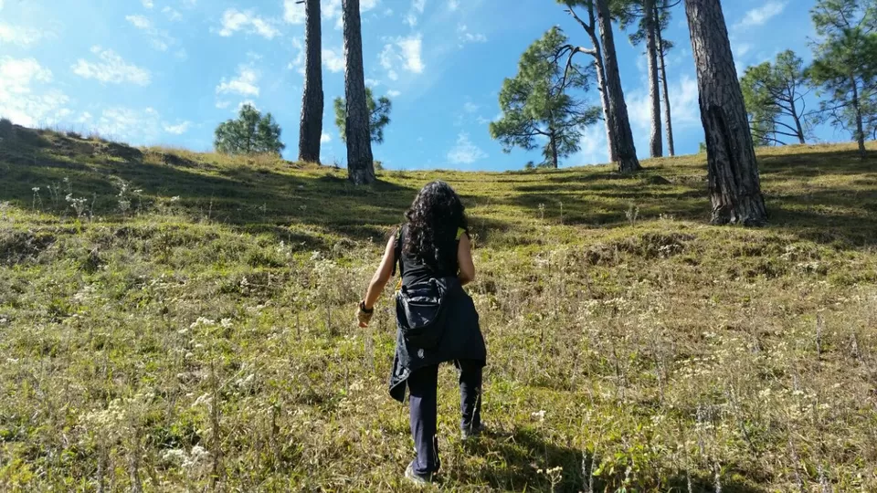 Photo of GAIL Housing Society, GH-9, Kendriya Vihar, Sector 56, Gurgaon, Haryana 122011, India by Angarika Deb