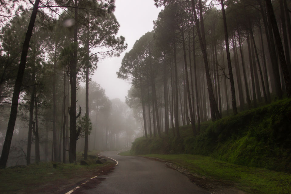 Photo of Our journey to the Lansdowne Cantonment, Uttarakhand 1/12 by Anunay Sood