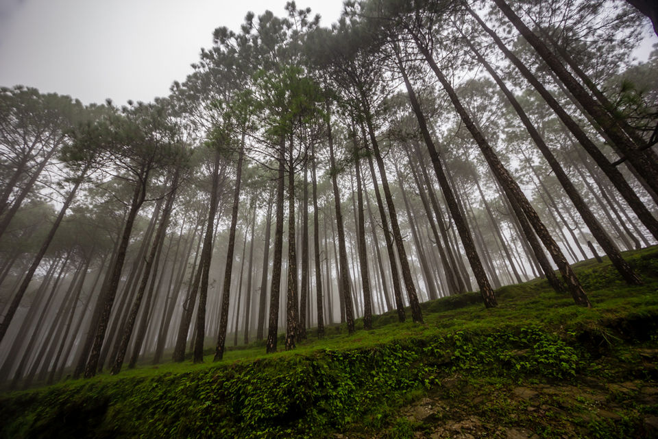 Photo of Our journey to the Lansdowne Cantonment, Uttarakhand 2/12 by Anunay Sood