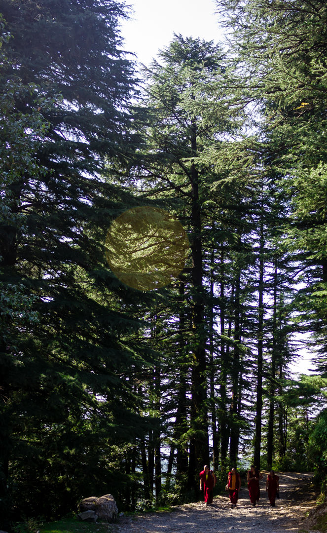Photo of Why I will think twice before going on my next trek 2/30 by Anunay Sood