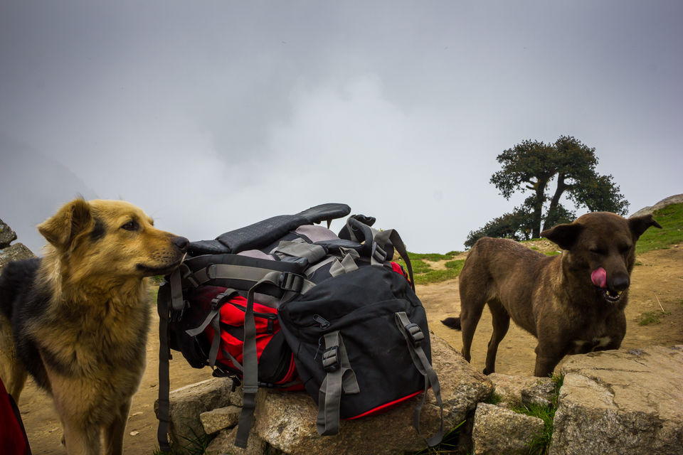 Photo of Why I will think twice before going on my next trek 9/30 by Anunay Sood