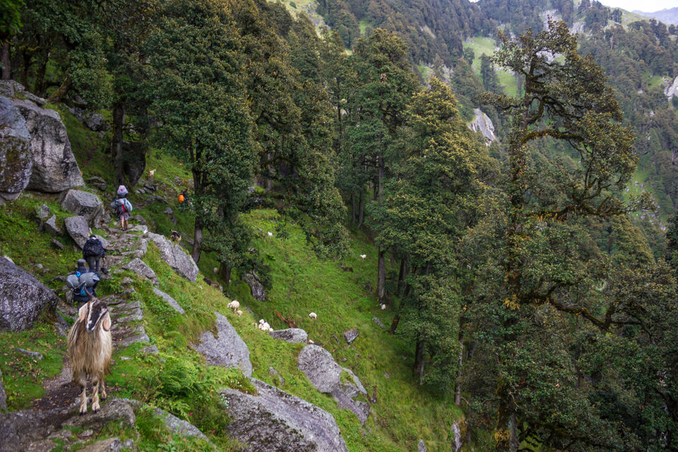 Photo of Why I will think twice before going on my next trek 13/30 by Anunay Sood