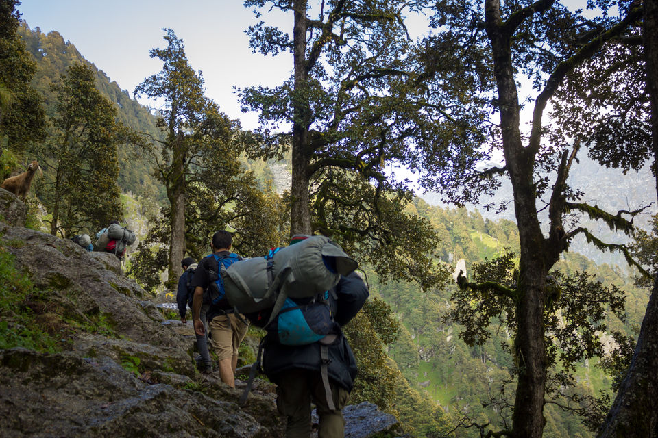 Photo of Why I will think twice before going on my next trek 16/30 by Anunay Sood
