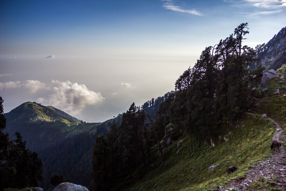 Photo of Why I will think twice before going on my next trek 17/30 by Anunay Sood