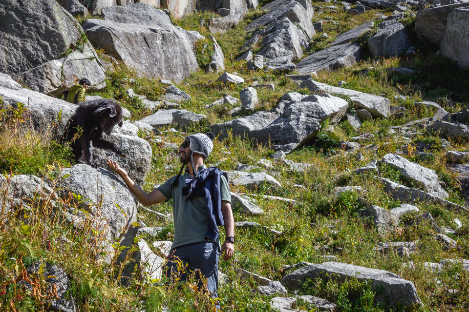 Photo of Why I will think twice before going on my next trek 20/30 by Anunay Sood