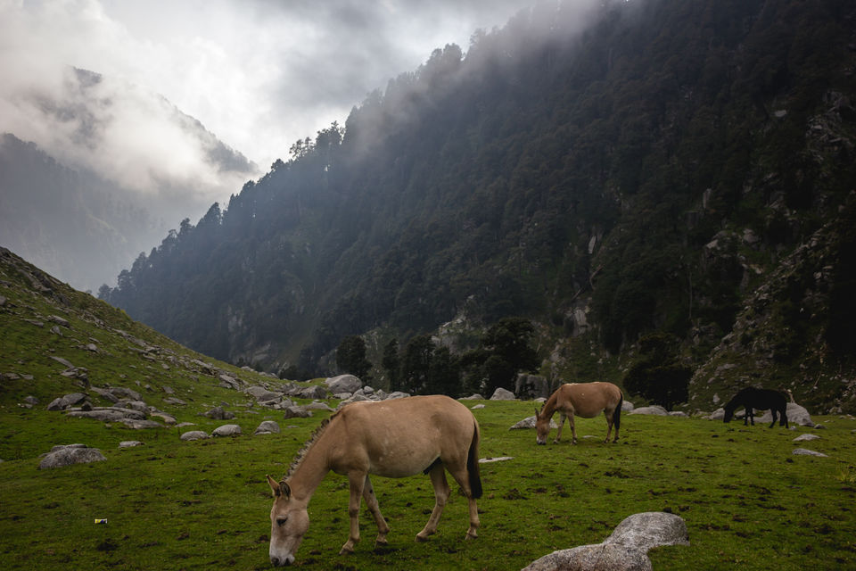 Photo of Why I will think twice before going on my next trek 25/30 by Anunay Sood