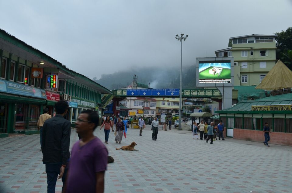 Photo of All the way to Sikkim: A solo nomadic journey 37/42 by Anurag Verma