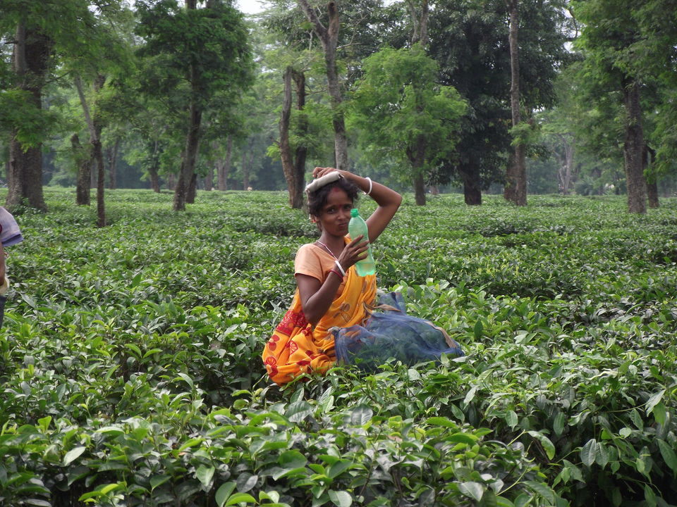 Photo of All the way to Assam: The inside story 18/20 by Anurag Verma
