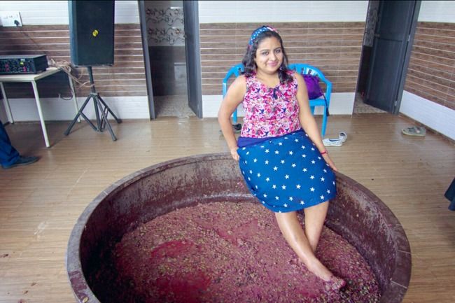 Photo of A day at the Vineyards by Ramya Balakrishna