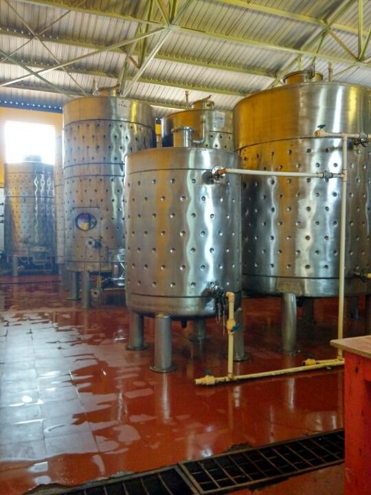 Photo of A day at the Vineyards by Ramya Balakrishna