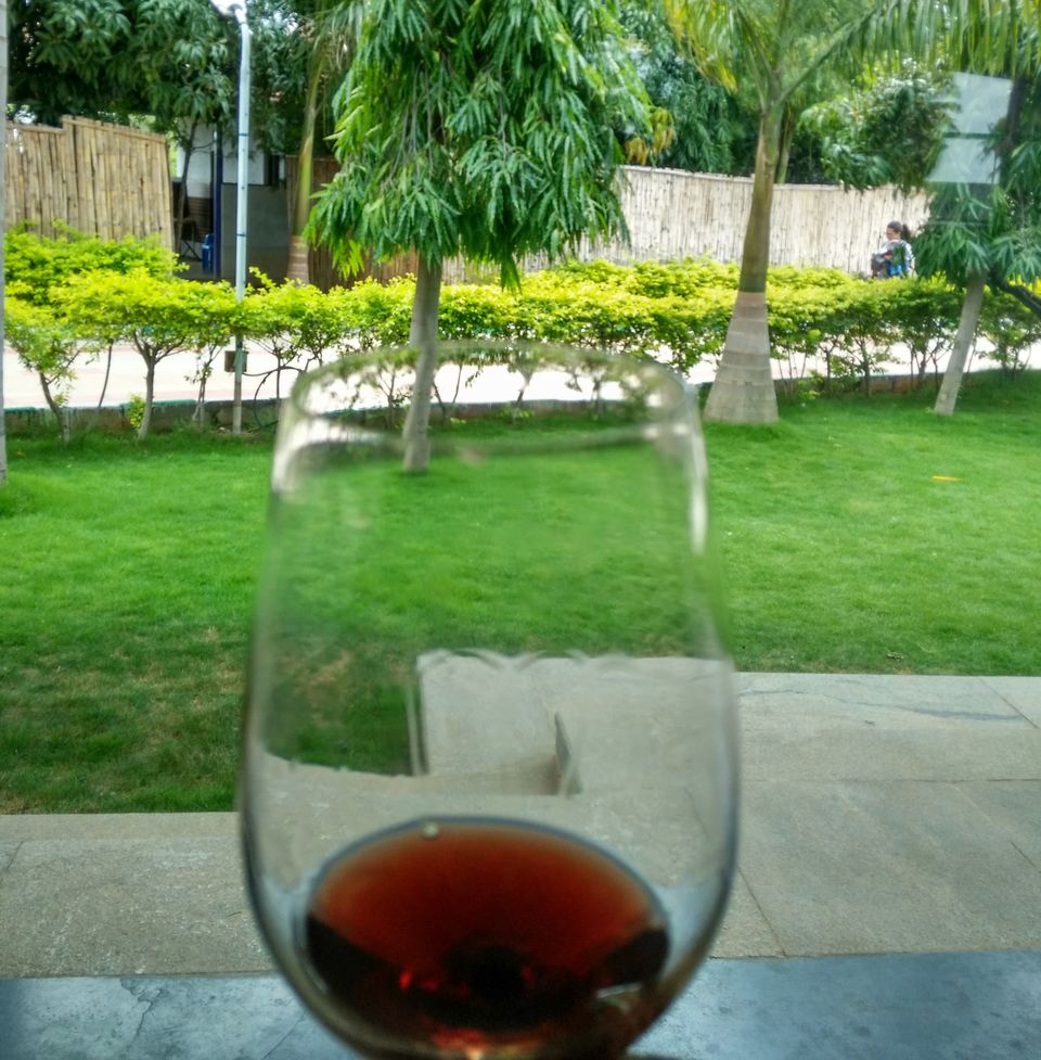 Photo of A day at the Vineyards by Ramya Balakrishna