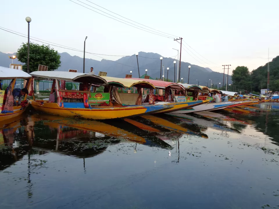 Photo of Dal Lake, Srinagar by Ramya Balakrishna