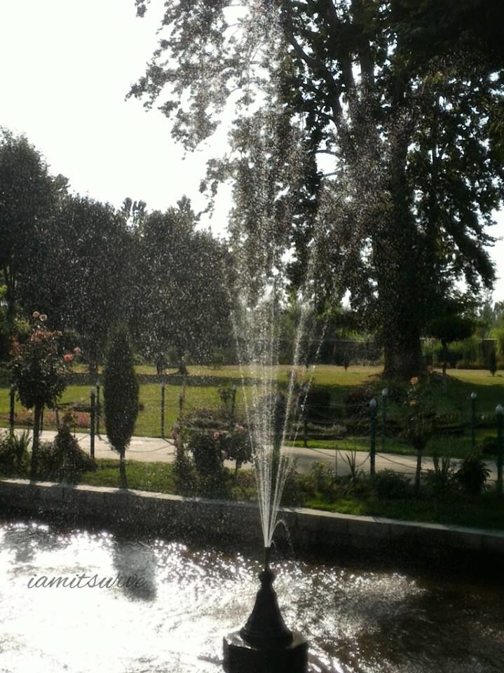 Photo of Shalimar Bagh, Shalimar, Rainawari, Srinagar by Ramya Balakrishna