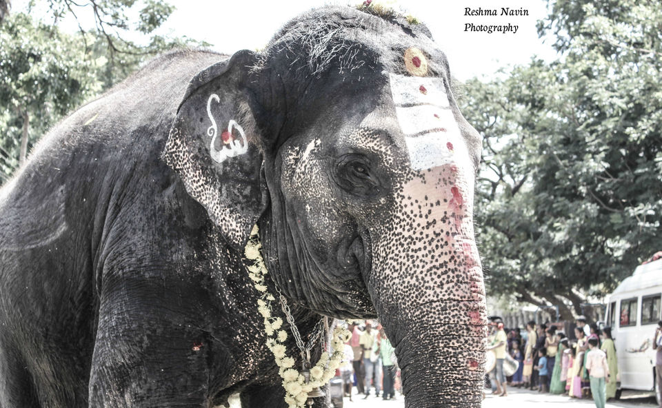 Photo of HAMPI, Where every Sculpture has an expression by Ramya Balakrishna