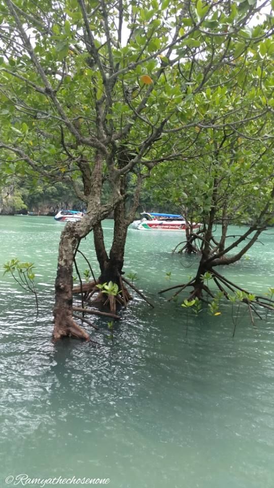 Photo of Hong Island Nong Thale Krabi Thailand by Ramya Balakrishna