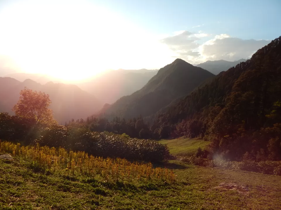 Photo of Minh Thatch Base Camp by Akash Deep