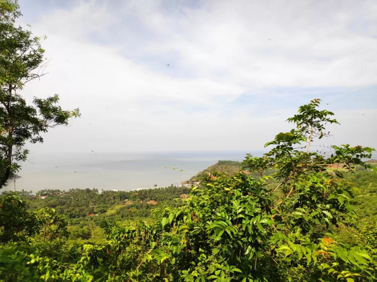 Photo of Road Trip to Gokarna Beach ! by WanderGirl