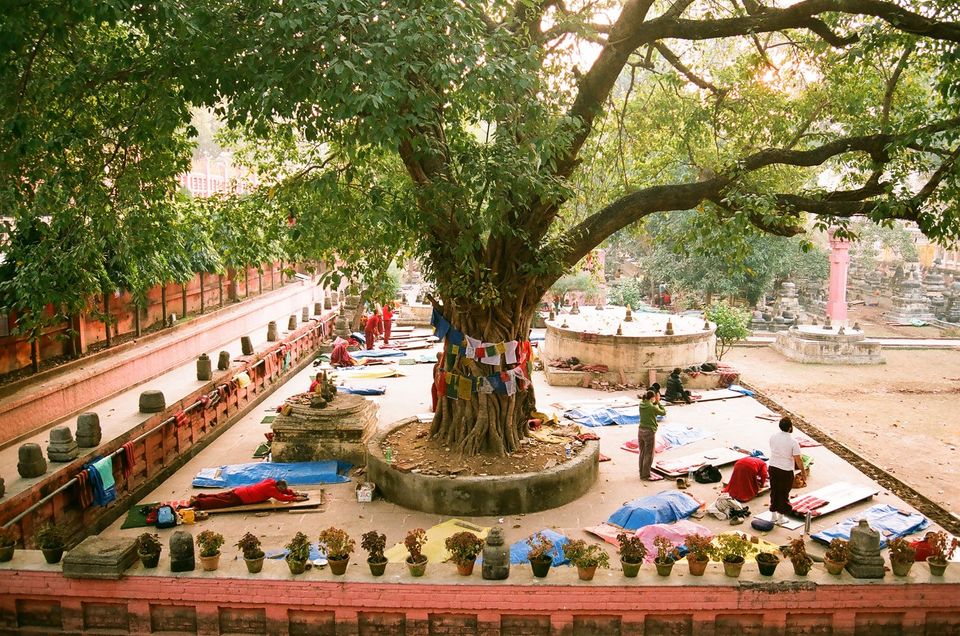 Bodhgaya Tripoto