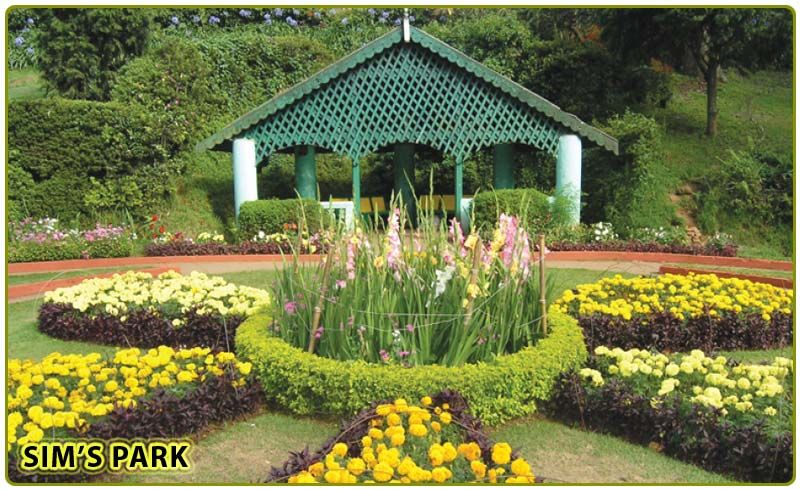 Photo of Sim's Park, Attadi, Coonoor, Tamil Nadu, India by Nancy Nance