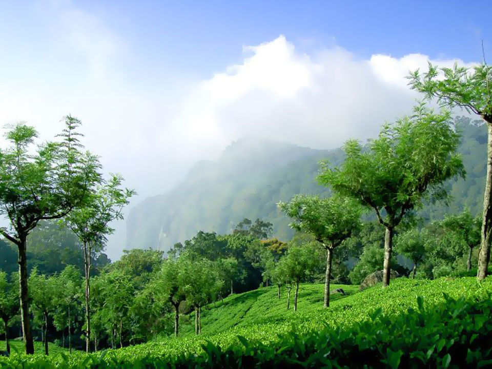 Photo of Coonoor, Tamil Nadu, India by Nancy Nance