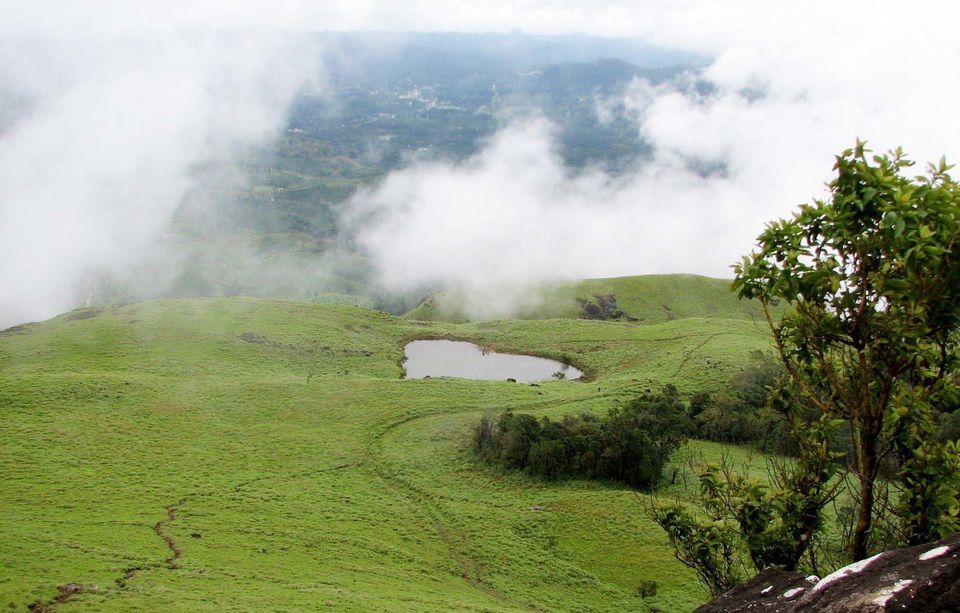 Photo of Wayanad, Kerala, India by Nancy Nance
