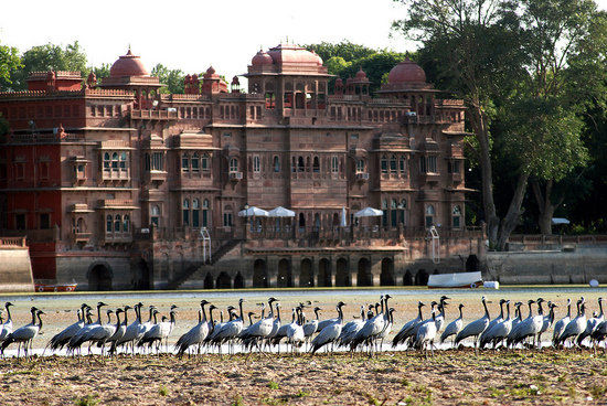 Photo of Gajner Wildlife Sanctuary, Gajner, Rajasthan, India by Nancy Nance
