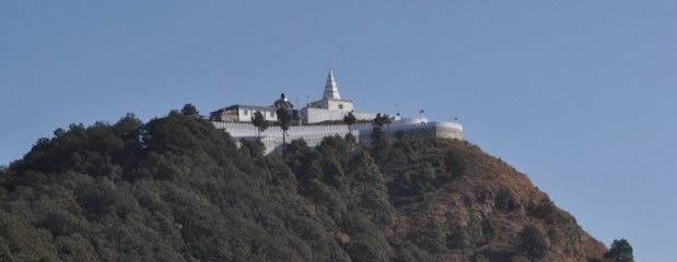 Photo of Tiny 'Chail' 3/5 by Nancy Nance