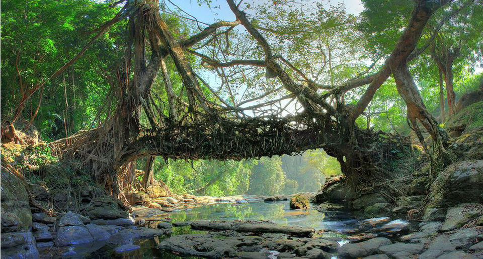 Photo of Mawlynnong: Asia's Cleanest Village 3/7 by Nancy Kay