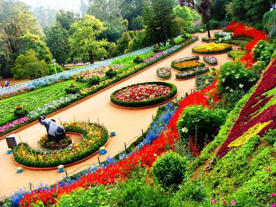 Photo of Ooty: Queen of Hill Stations 3/5 by Nancy Nance