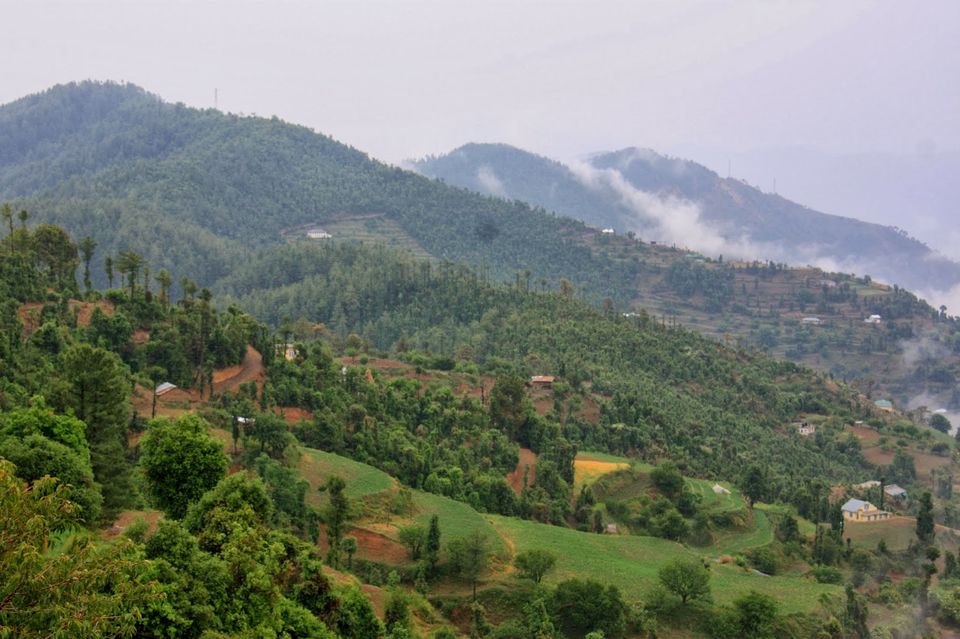Photo of Tiny 'Chail' 1/5 by Nancy Nance