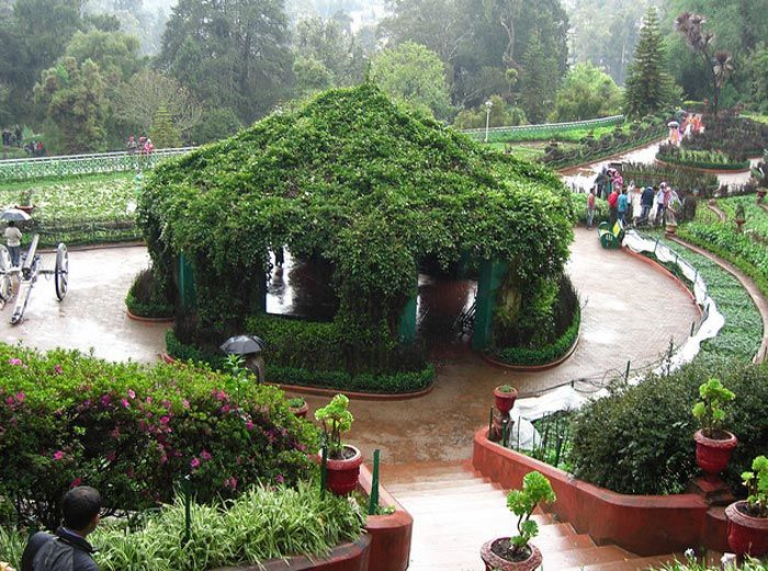 Photo of Ooty: Queen of Hill Stations 2/5 by Nancy Nance