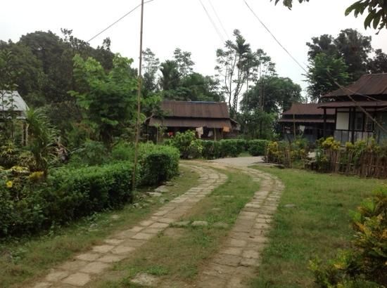 Photo of Mawlynnong: Asia's Cleanest Village 2/7 by Nancy Kay