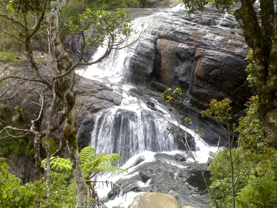 Photo of Nuwara Eliya, Central Province, Sri Lanka by Riya Poojary