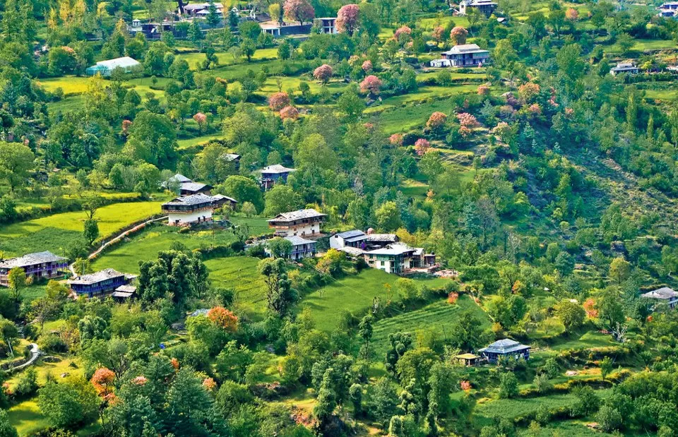 Photo of Banjar, Himachal Pradesh, India by Riya Poojary
