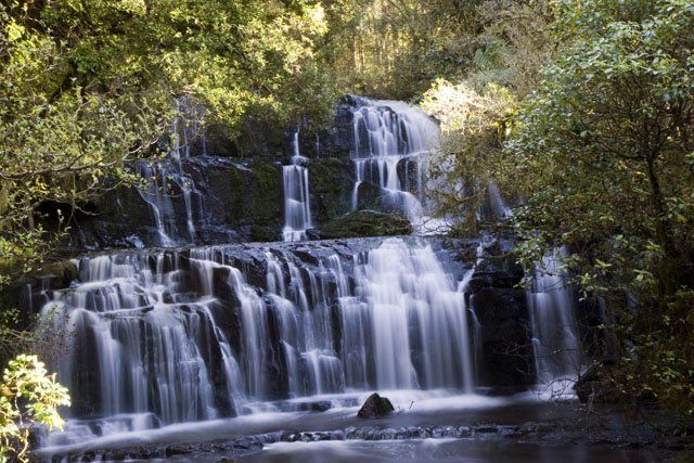 Photo of Catlins Forest Park, Southland, New Zealand by Riya Poojary