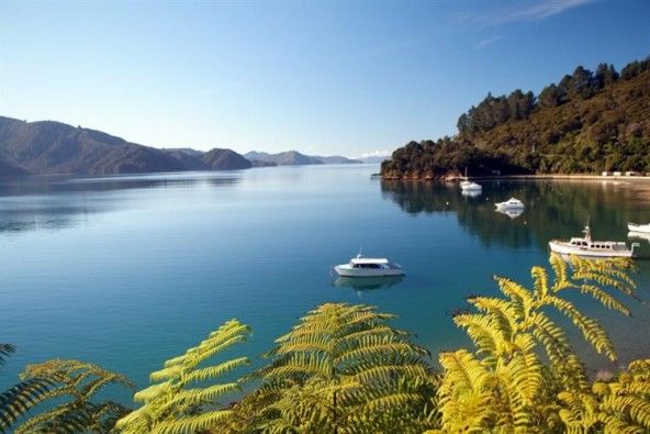 Photo of Marlborough Sounds, Mount Cook National Park, Canterbury, New Zealand by Riya Poojary